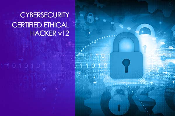 Certified Ethical Hacker Training for Certification - CEH V12