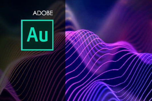 Adobe Audition Training