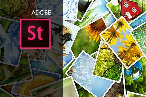 Adobe Stock Scan Adobe Stock Training – Dynamic Pillar