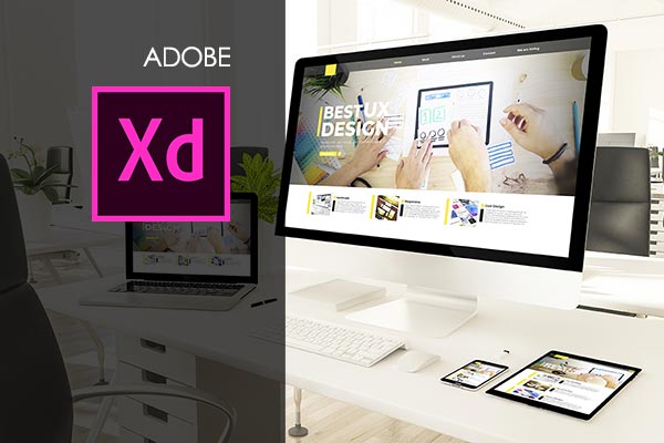 Adobe XD Training