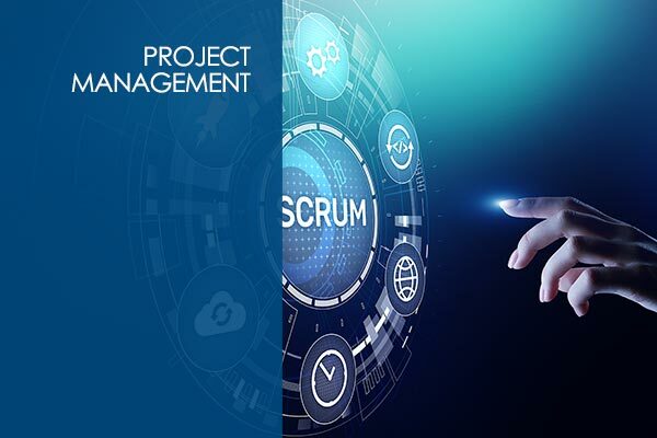 Agile Scrum - Master the Principles