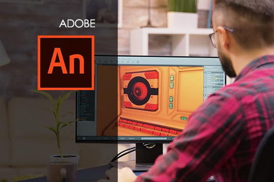 Learn Adobe Flash / Animate