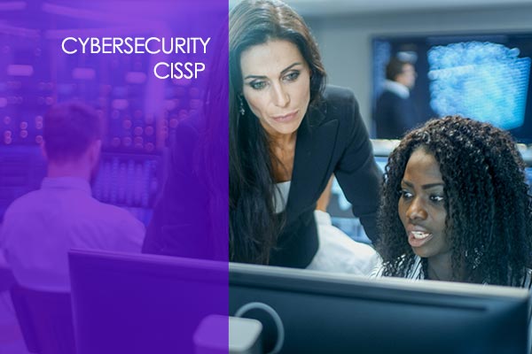 Certified Information Systems Security Professional (CISSP)